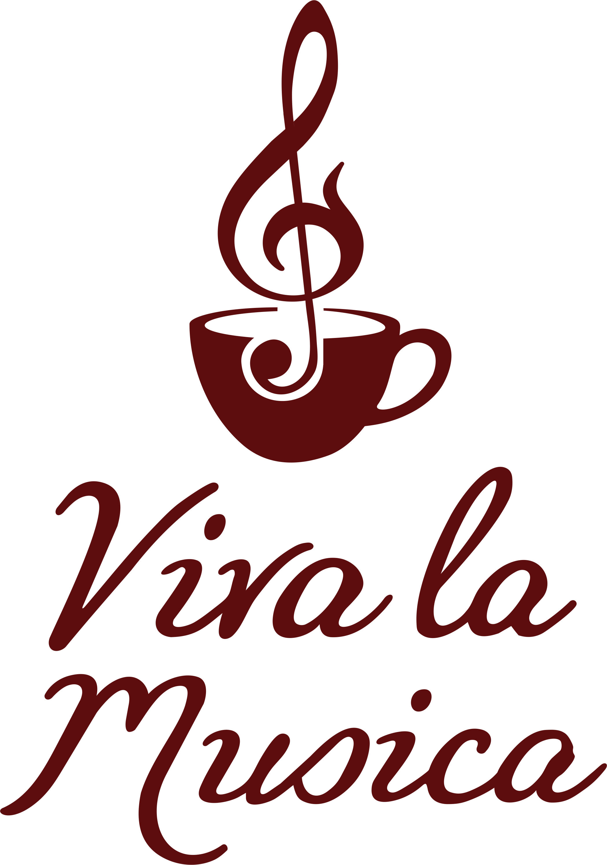 Viva La Musica